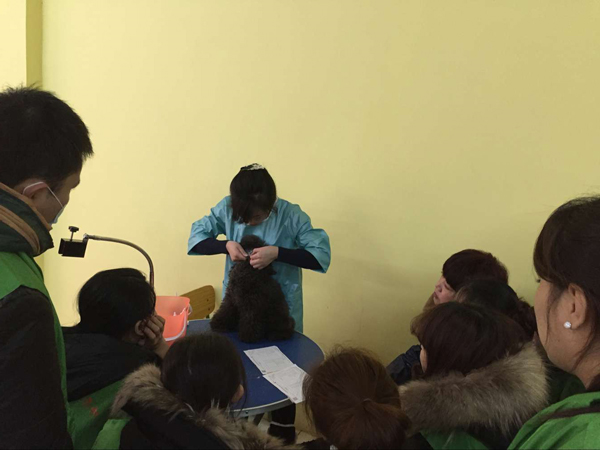 QQ图片20151228150036.jpg
