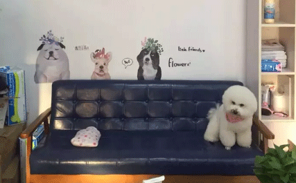 1527218818136446.gif QQ截图20180525112034.gif