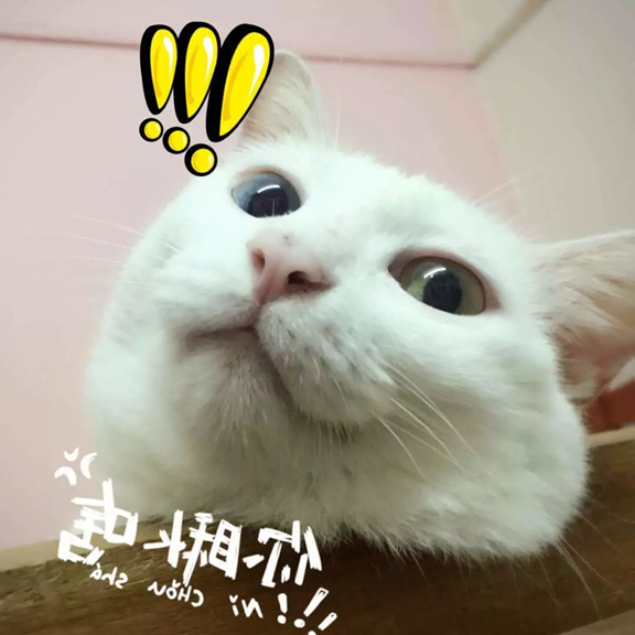 1562825487213891.jpg 640.webp (1).jpg